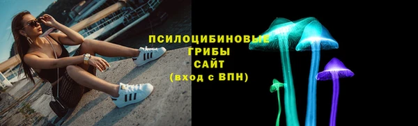 стаф Нея