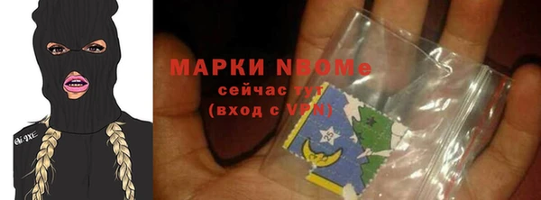 стаф Нея