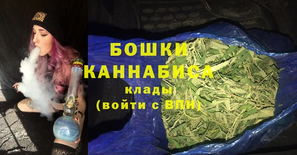 стаф Нея