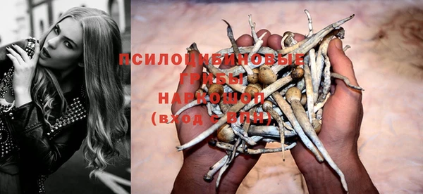 прущие крисы Нефтегорск