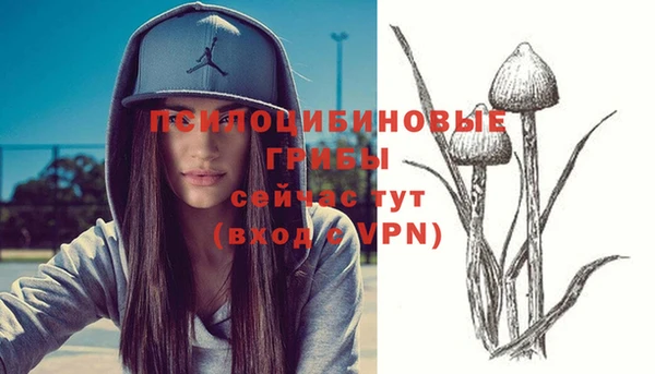 прущие крисы Нефтегорск