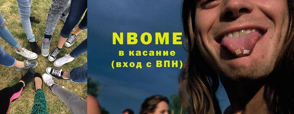 стаф Нея