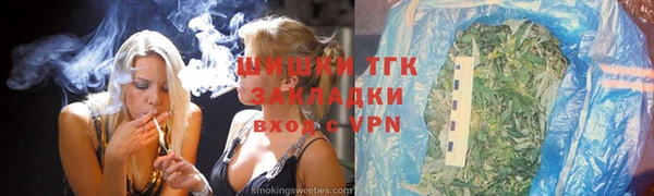 стаф Нея