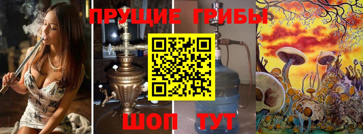 Азнакаево  Псилоцибиновые грибы GOLDEN TEACHER  Вход с VPN 